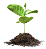 WE SEND FUNDS image