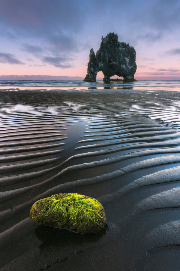 Rhino Rock image