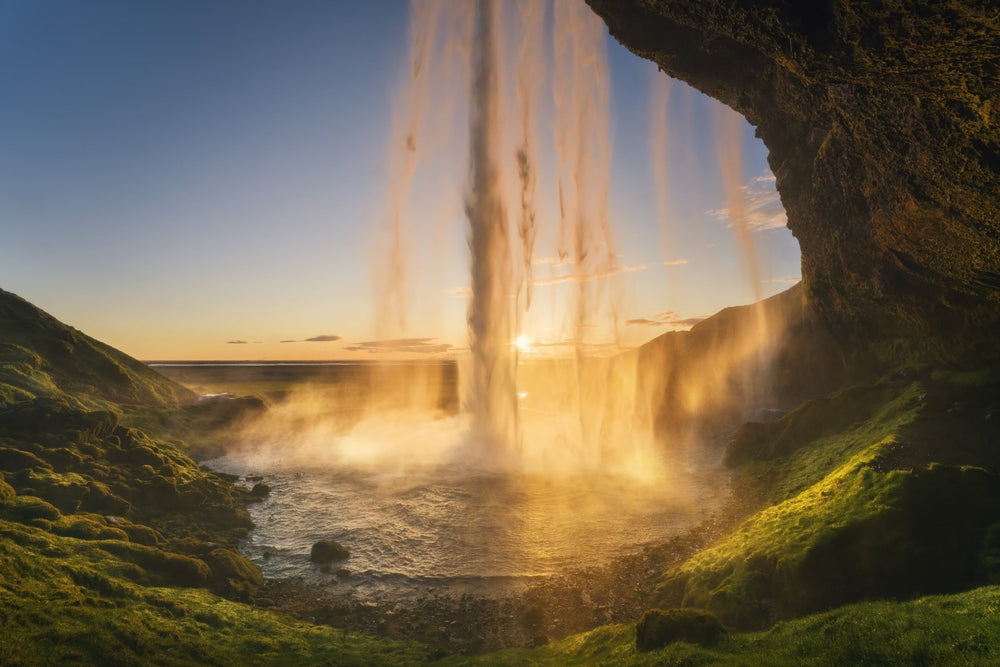The Hidden Beauty image