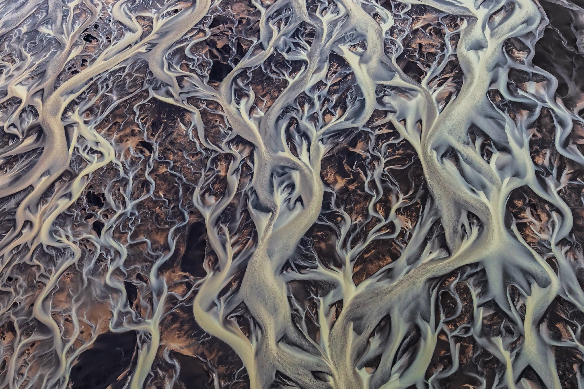 Veins of the Earth featured opacity image