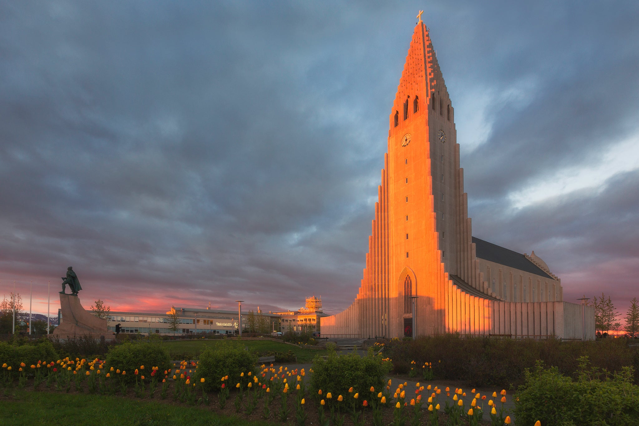 The Guardian of Reykjavik featured opacity image