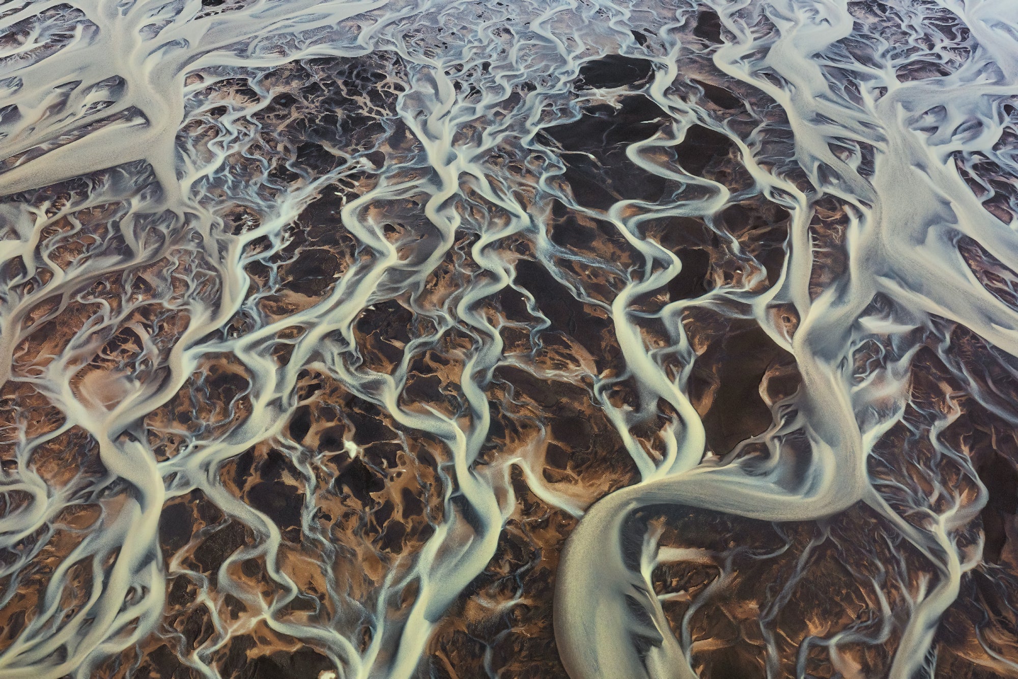 Arteries of the Highlands featured opacity image