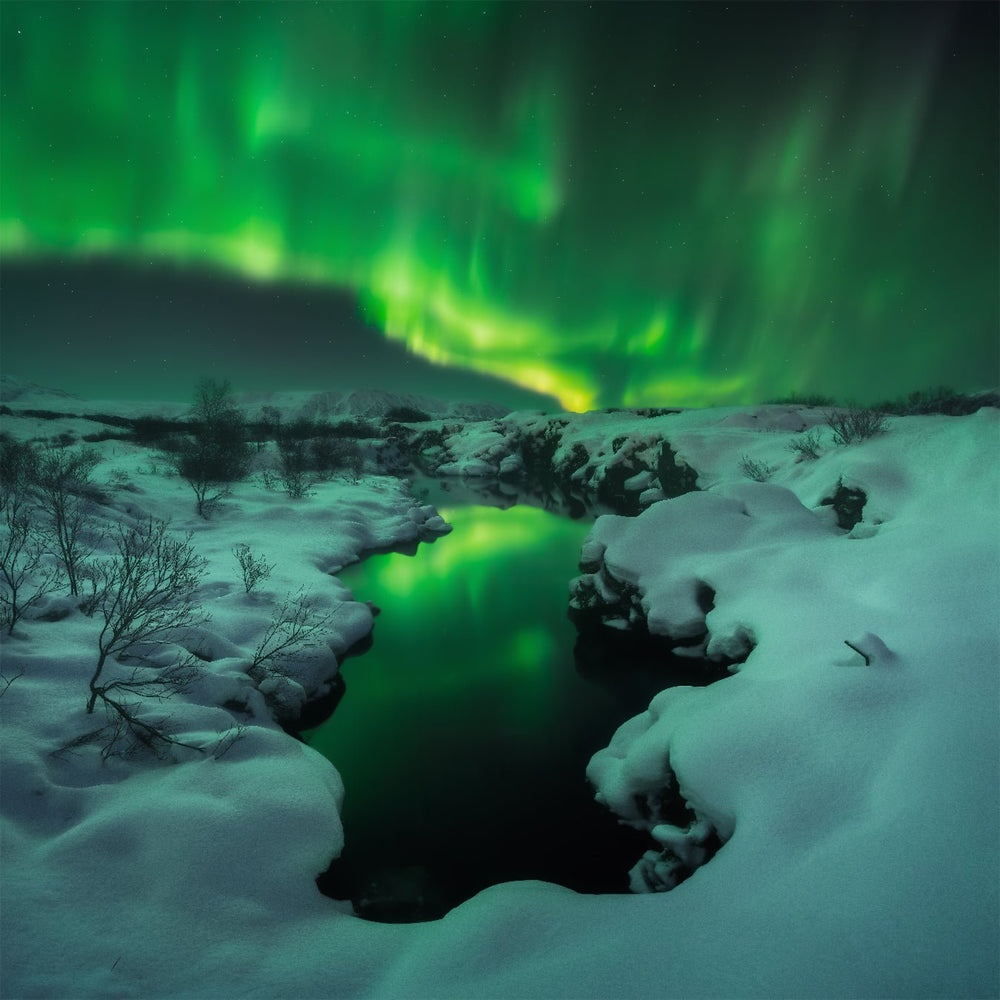 Aurora Symphony image