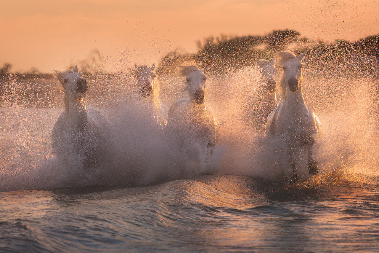 The River's White Horses featured opacity image