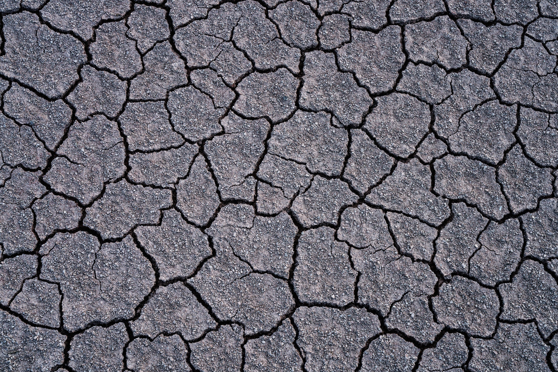 Earthly Jigsaw featured opacity image