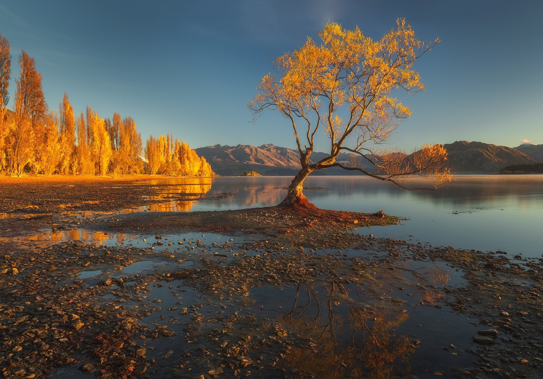 Lakeside Lean featured opacity image