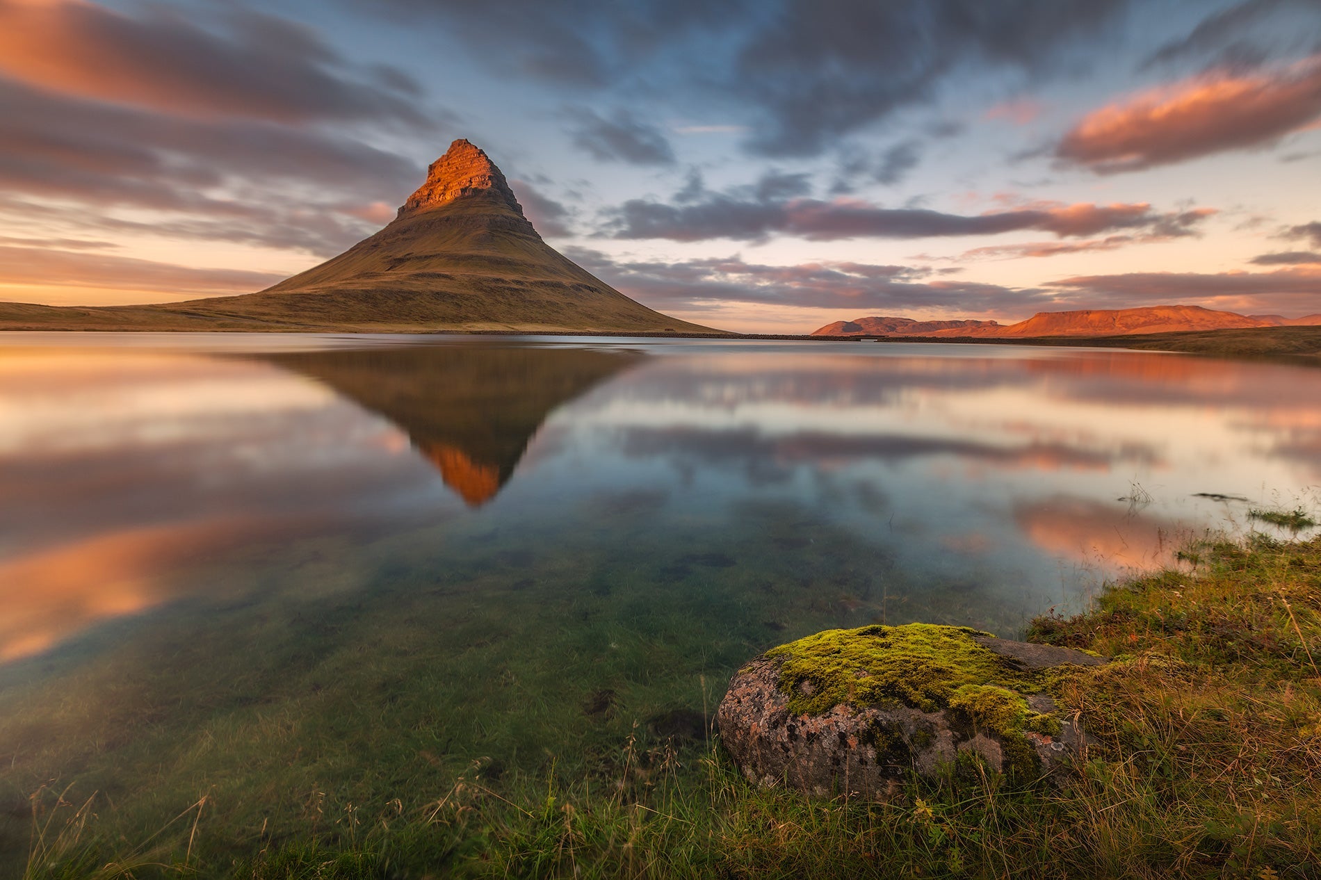 Nature's Cathedral featured opacity image