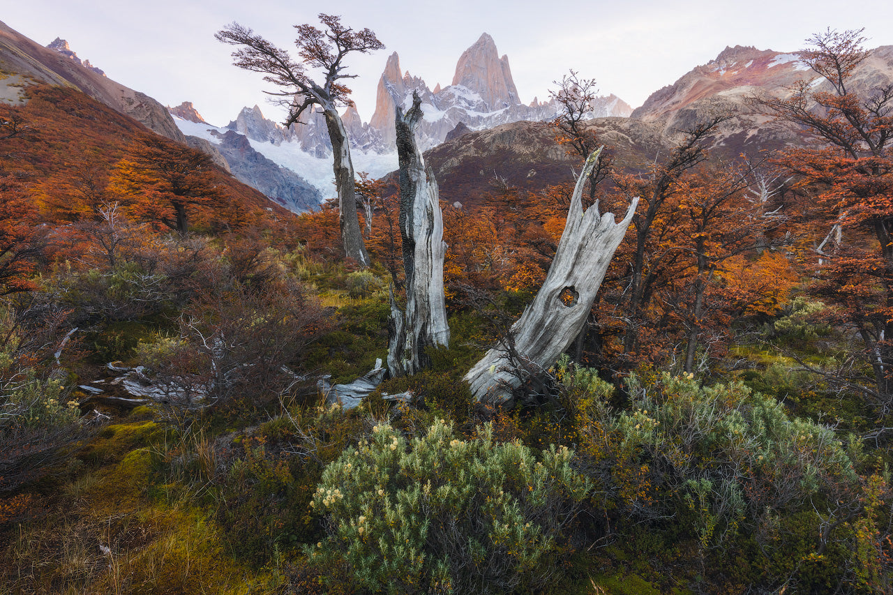 Patagonian Painting featured opacity image