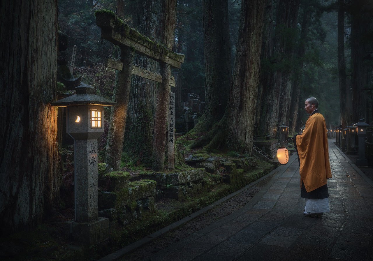 Path to Paradise featured opacity image