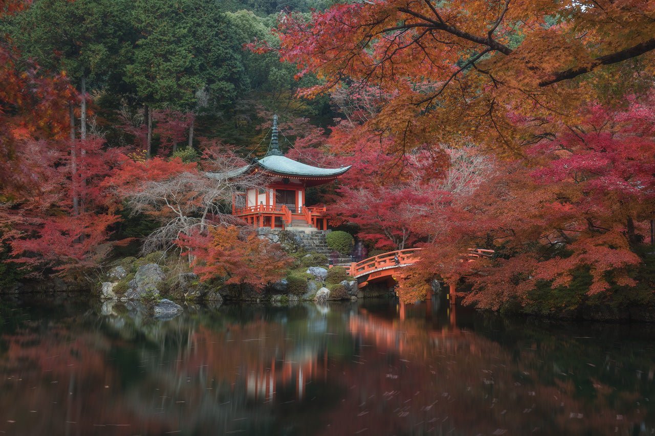 Red Refuge featured opacity image