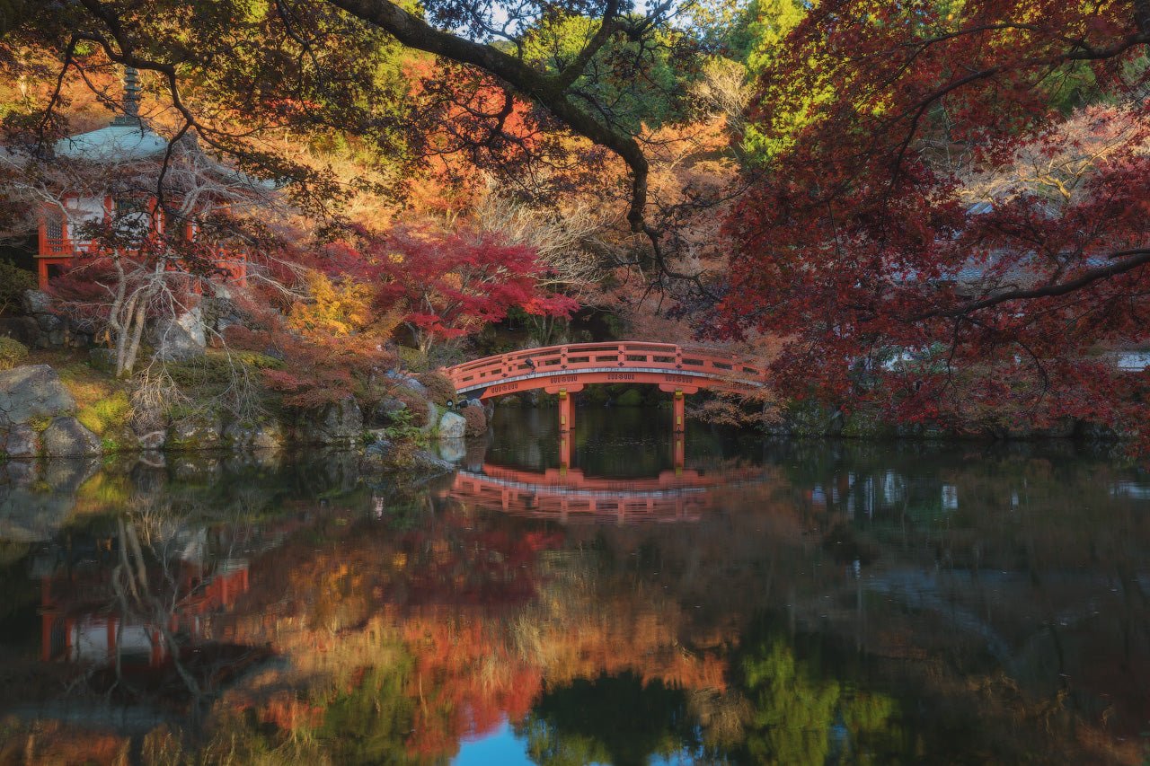 Season's Changes featured opacity image