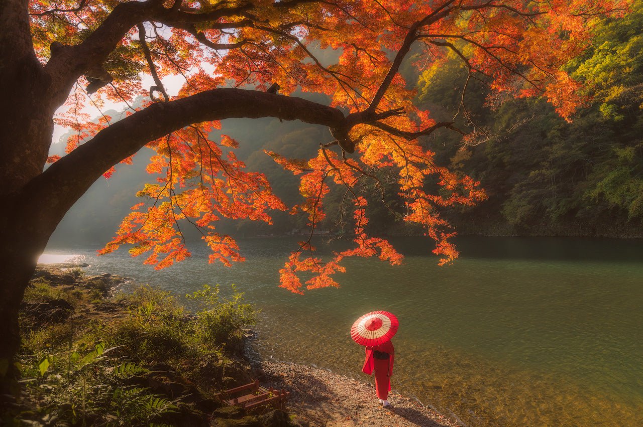 Silence on the Shores featured opacity image
