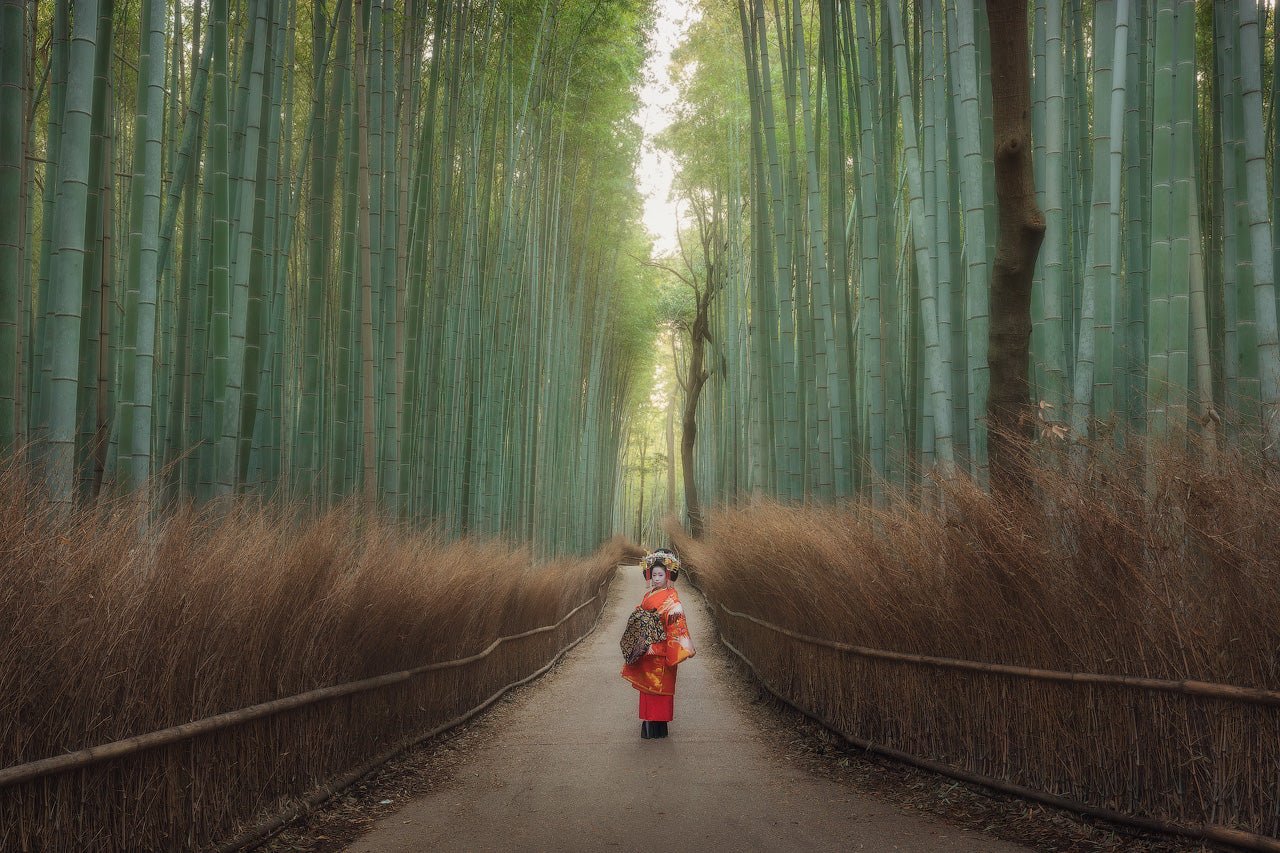 The Elusive Geisha featured opacity image