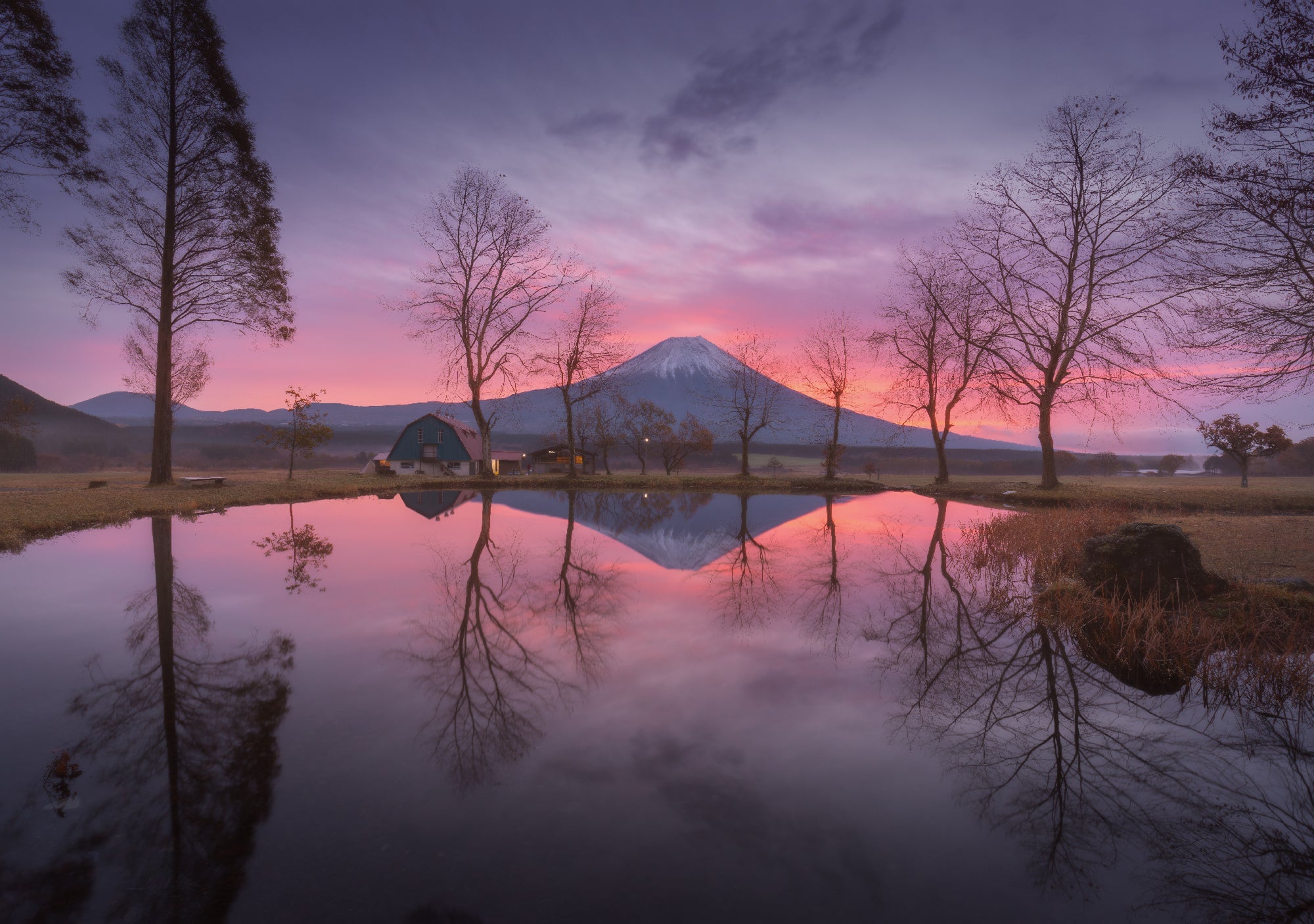 The Face of Fuji featured opacity image