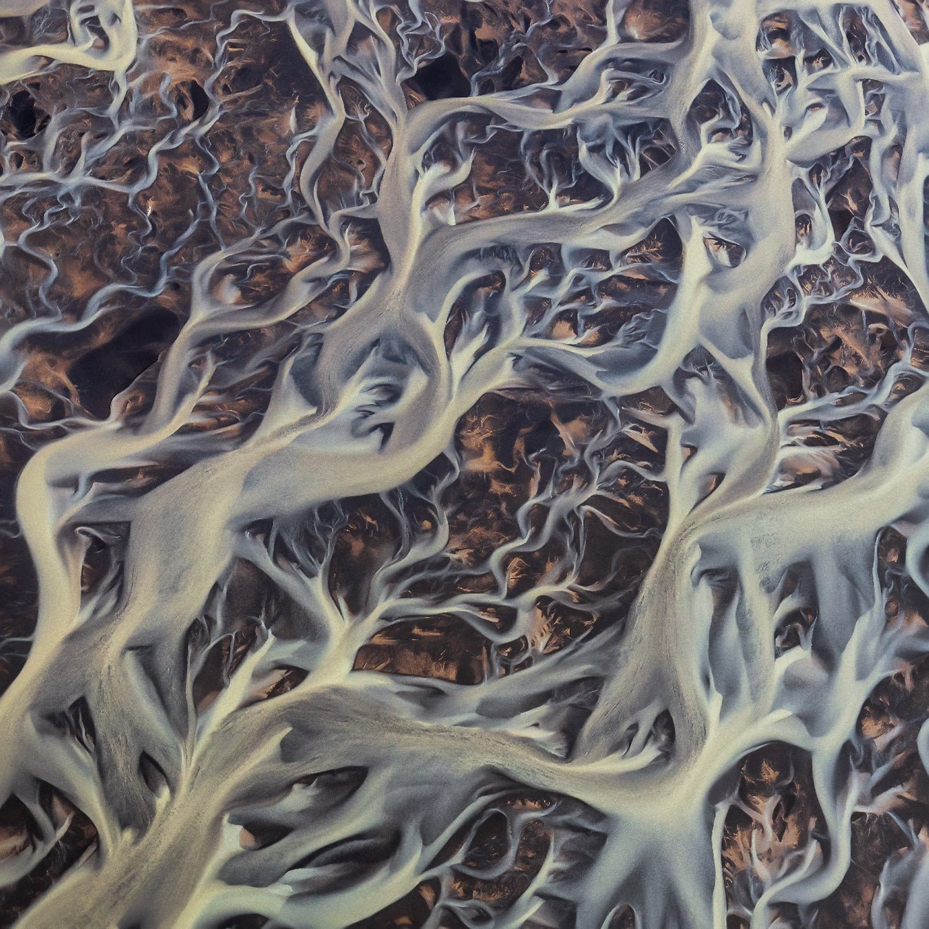 Veins of the Earth featured opacity image