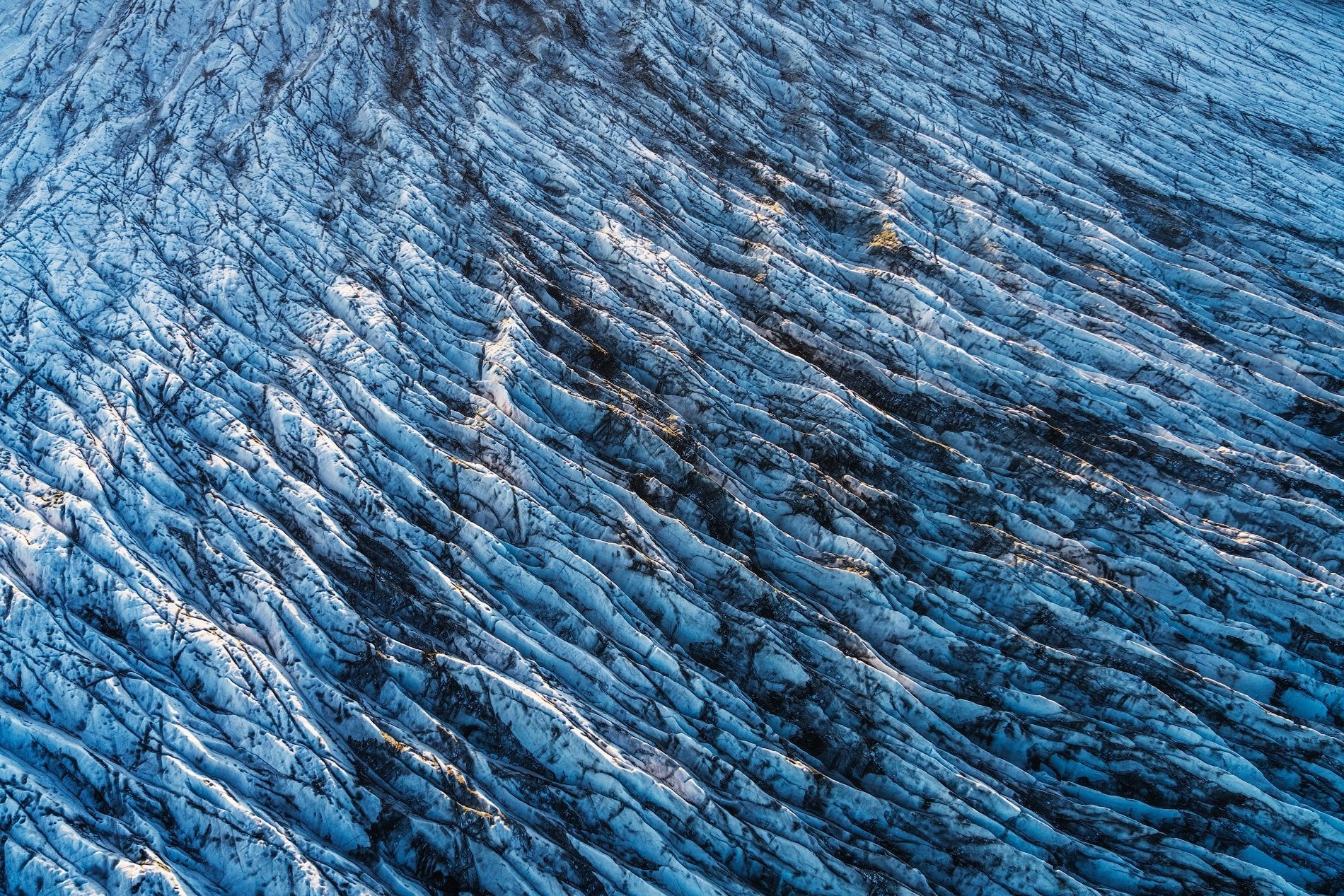 Winter Wonder featured opacity image