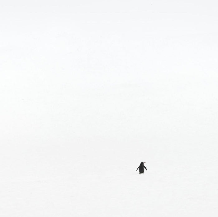 The Best Minimalistic & Abstract Fine Art Photography Prints From Our Collection image