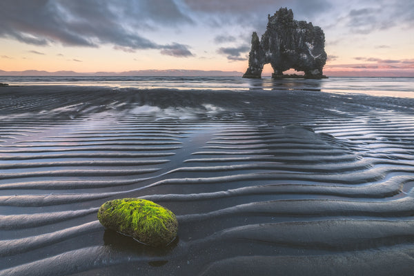 Dragon Egg image