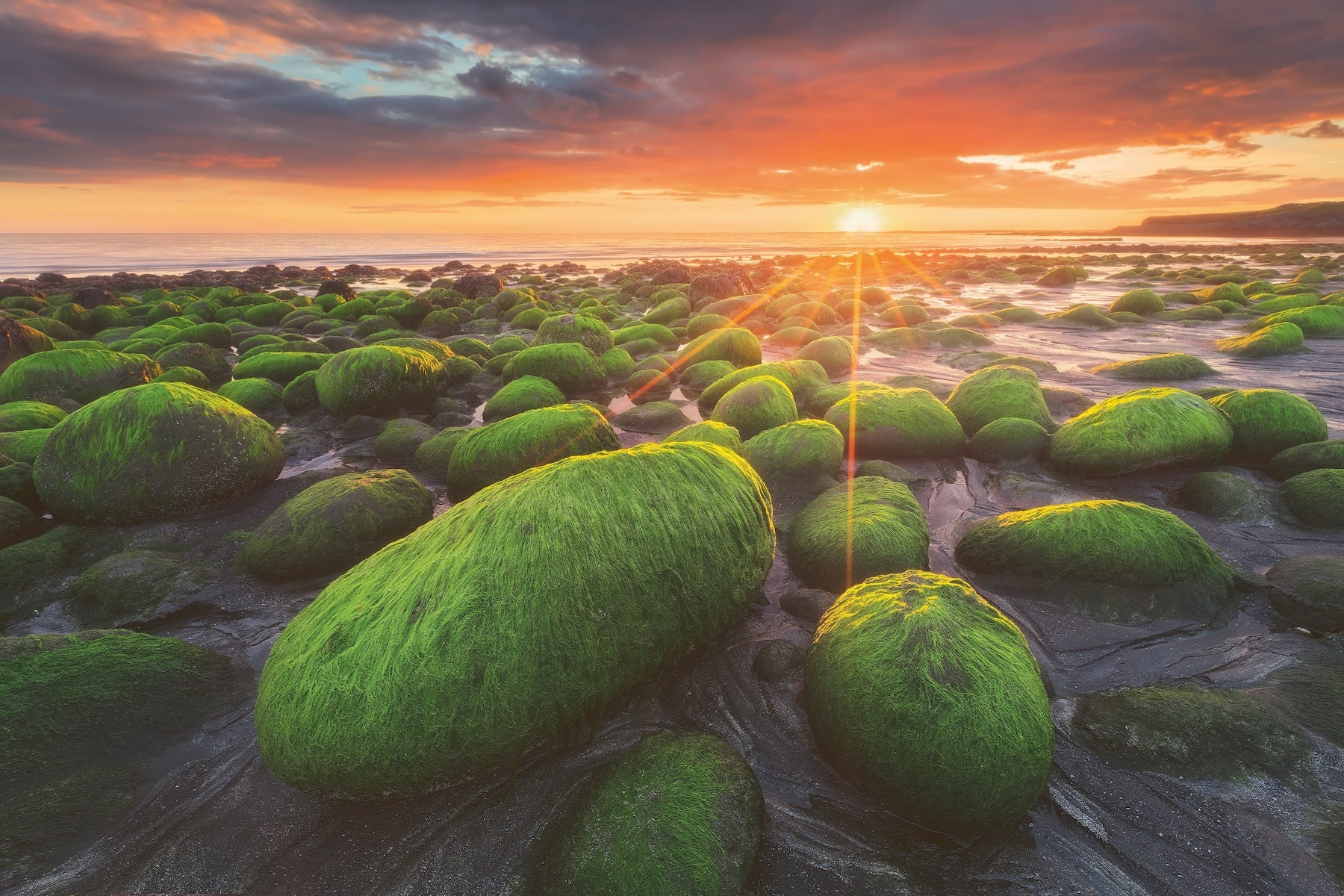 Emerald Tide featured opacity image