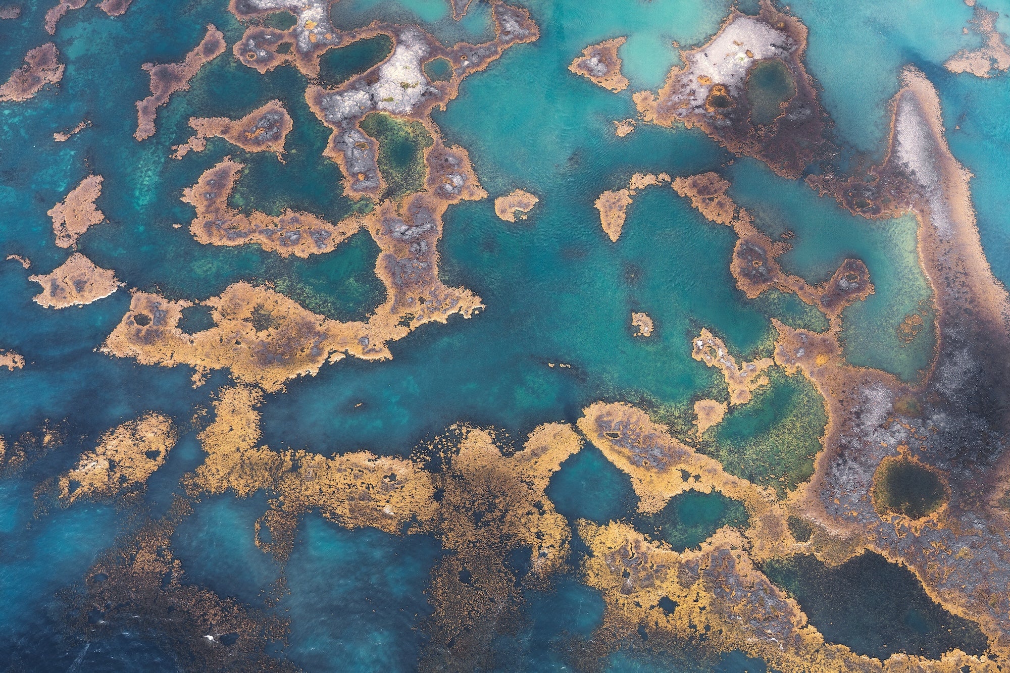 Terra Aqua featured opacity image