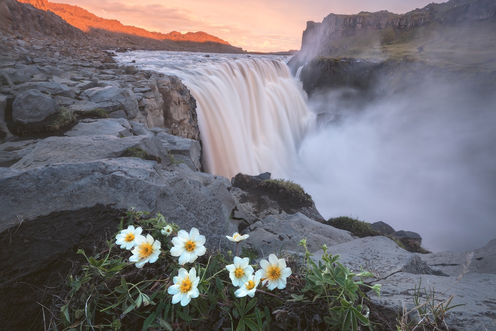 Dettifoss in Bloom featured opacity image