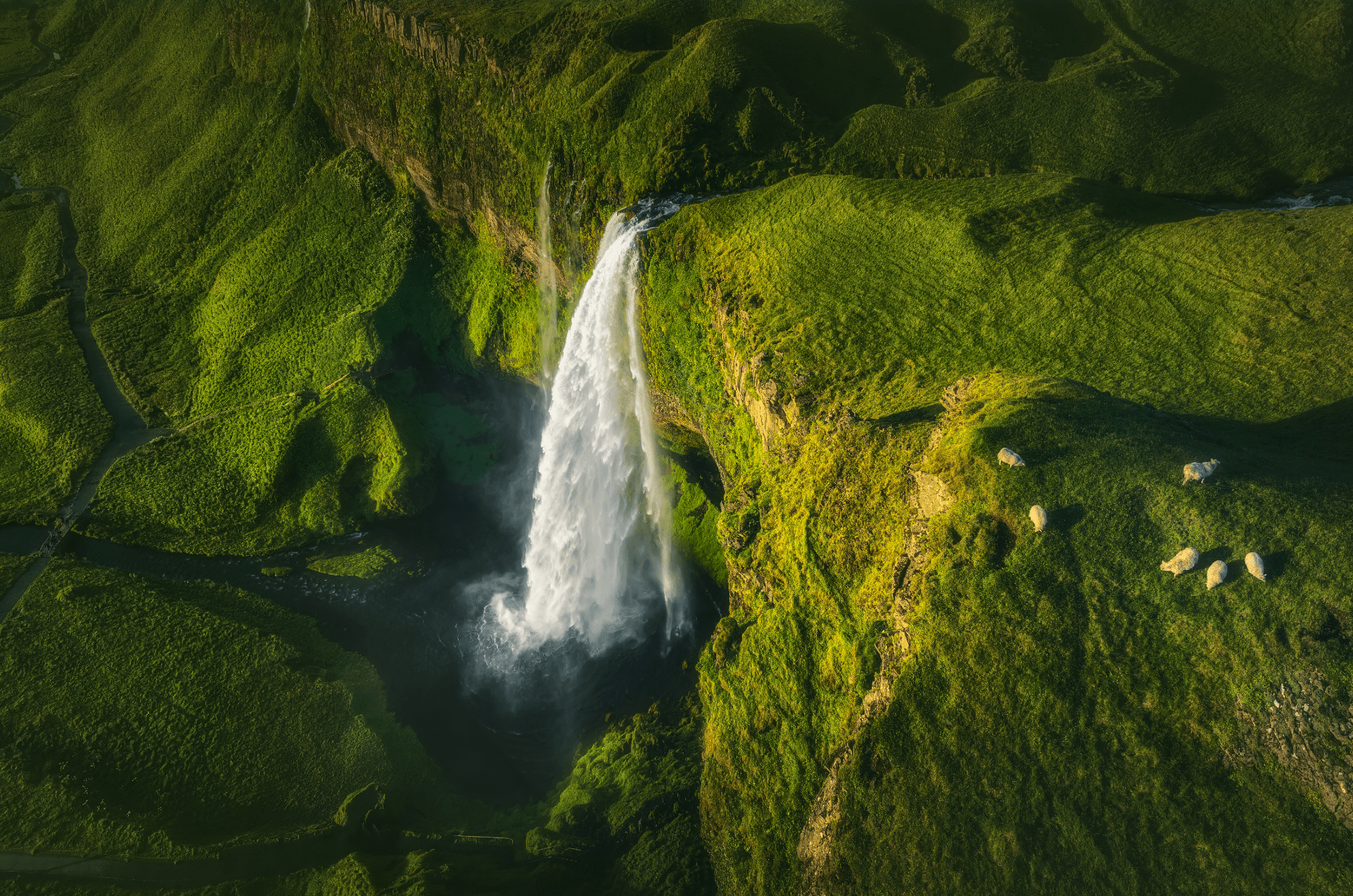 Green Paradise featured opacity image