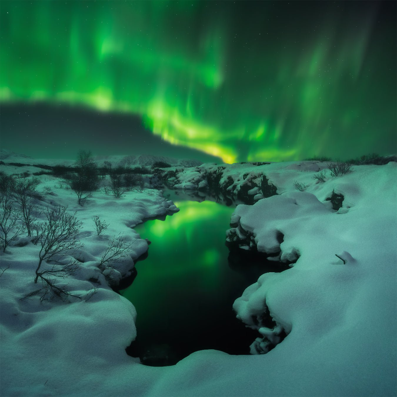 Aurora Symphony featured opacity image