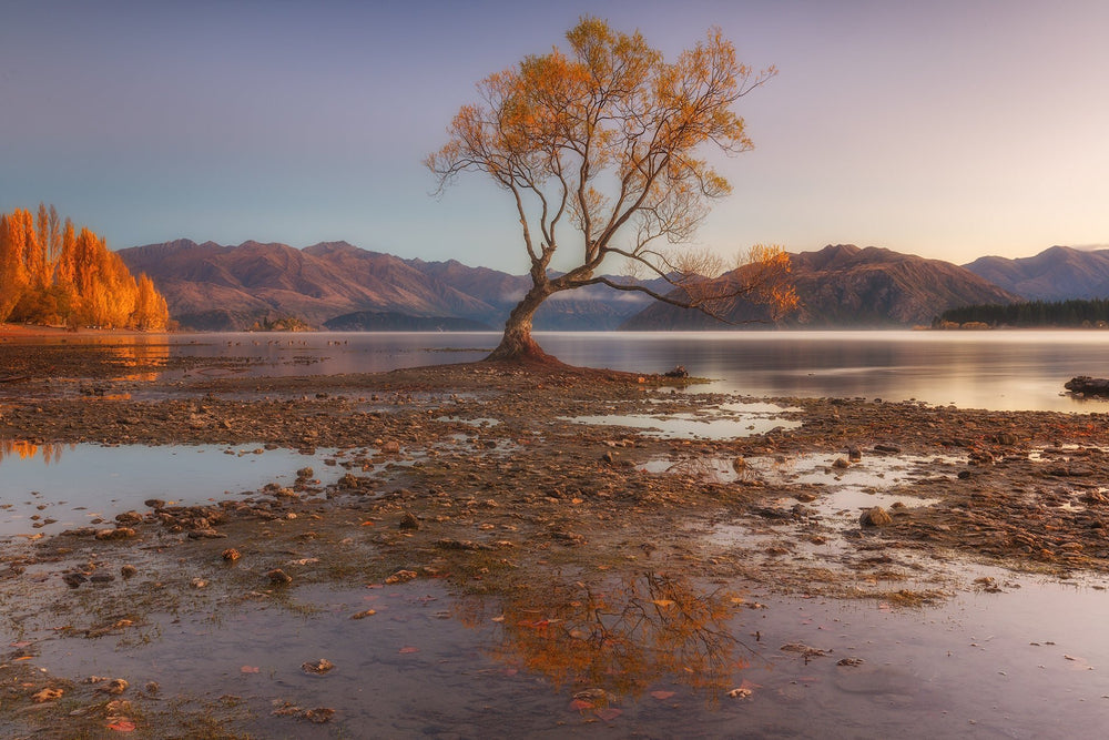 Lone Tree Lake image