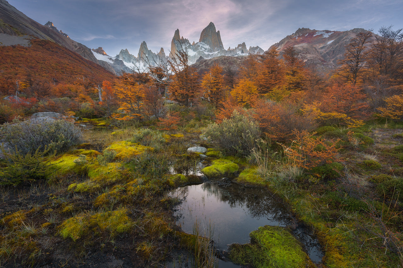 Argentinian Wilds featured opacity image