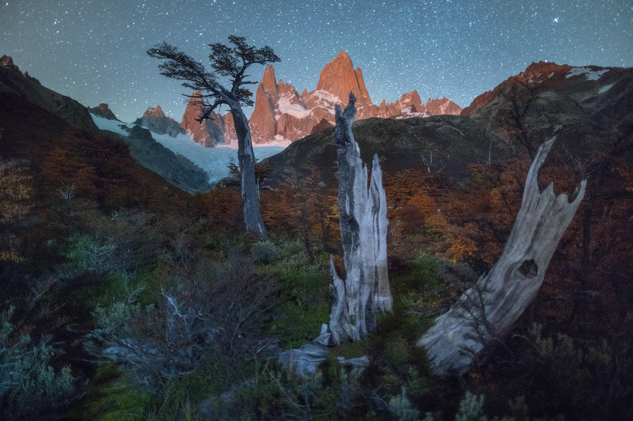 Stars Over Patagonia featured opacity image