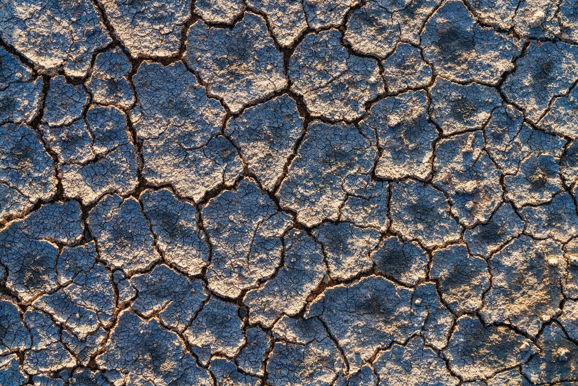 Webs in the Terrain featured opacity image